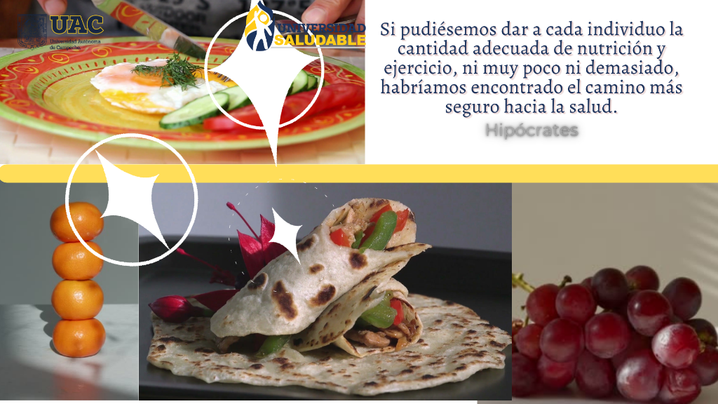 frase de nutricion3